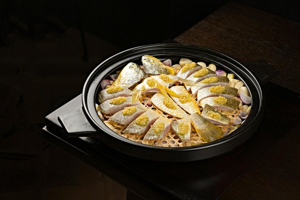 Creating a calm oasis: expert strategies for designing a relaxing retreat for cats affected by hyperesthesia