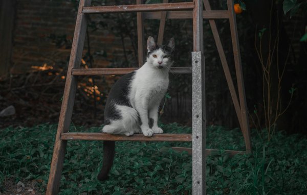 Top Strategies to Safeguard Your Real Estate in Disaster-Prone Areas